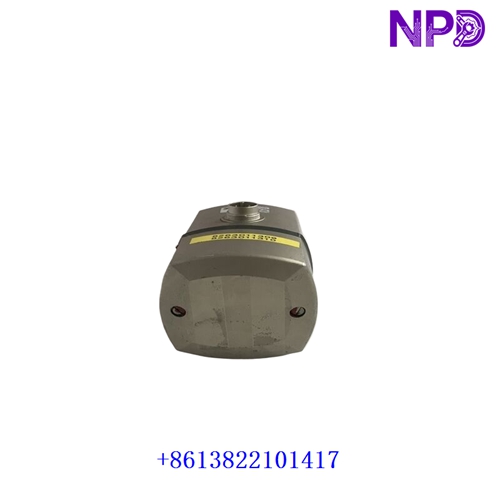 PFEIFFER EVR116 | Motorized Gas Control Valve - Image 2