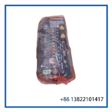 IC800VMA202-CB