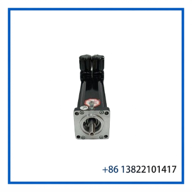 Schneider SH055/80009/0/0/00/00/00/11/00 | PacDrive  Servo Motor