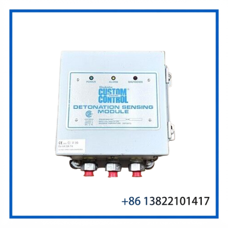 WAUKESHA E740401 | Detonation Sensing Module
