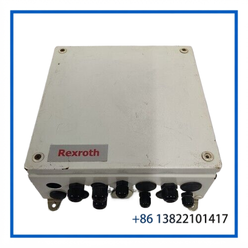 R419300294